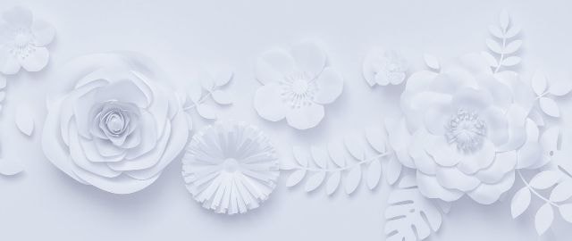 留学スターコンサルタント